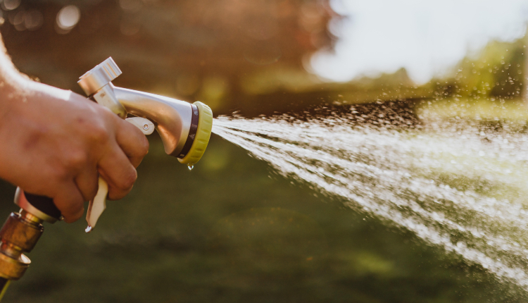 Garden hose spraying water